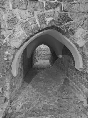 IMG 20241102 173213 033