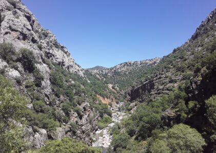 Birkleyn Mağaraları