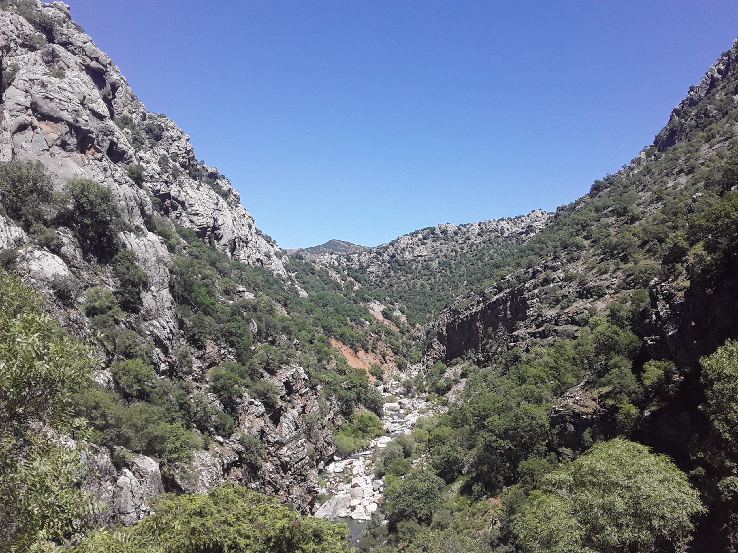 Birkleyn Mağaraları